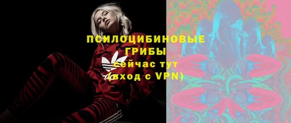 2c-b Михайловка
