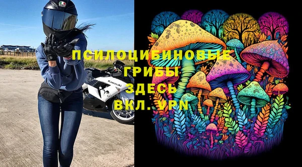 соль курить ск Медвежьегорск