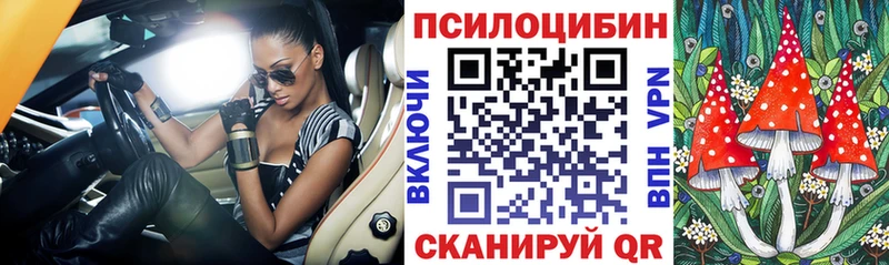 Галлюциногенные грибы мухоморы  Купить где  Строитель 